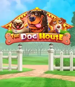 Experience Pragmatic Play's The Dog House adventure, featuring an adorable adventure among lovable dogs. Discover gameplay elements including multipliers, designed for delivering exciting wins. Perfect for animal enthusiasts a cheerful atmosphere and the opportunity to win big.