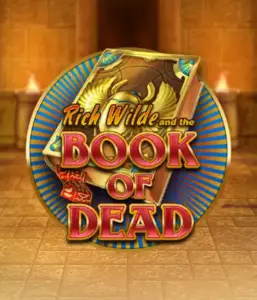 Embark on the thrilling world of Book of Dead by Play'n GO, showcasing vivid graphics of Rich Wilde's journey through ancient Egyptian tombs and artifacts. Uncover lost riches with captivating mechanics like free spins, expanding icons, and a gamble option. Ideal for those seeking adventure with a desire for thrilling discoveries.